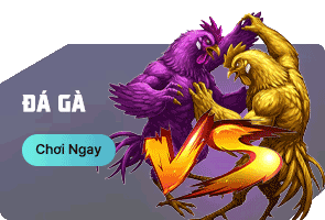 soc99 Nhà cái cá cược, game bài, thể thao uy tín